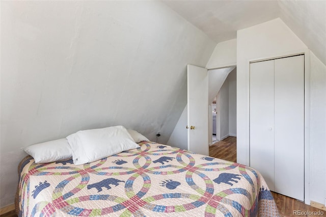 413 W Lake Dr, Divide, CO 80814 - bedroom with wood finished floors, lofted ceiling, and a closet