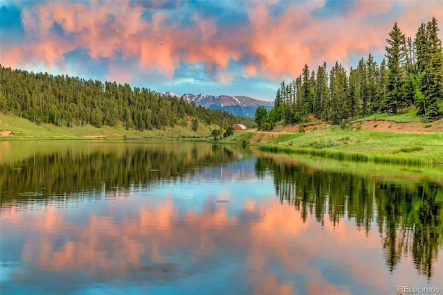 413 W Lake Dr, Divide, CO 80814 - water view with a heavily wooded area and a mountainous background