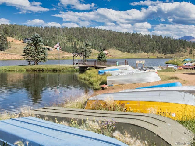413 W Lake Dr, Divide, CO 80814 - surrounding community featuring a view of trees, a water view, and a dock