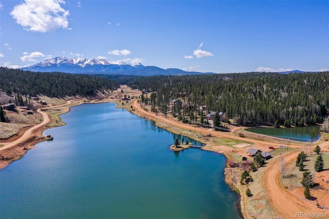 413 W Lake Dr, Divide, CO 80814 - bird's eye view of a forest and a water and mountain view