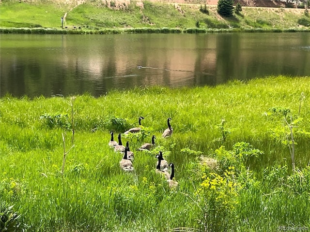413 W Lake Dr, Divide, CO 80814 - water view