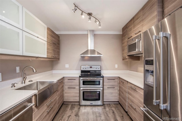 kitchen featuring stainless steel appliances, wood finished floors, a sink, modern cabinets, and wall chimney exhaust hood