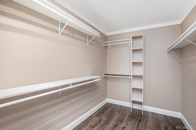 walk in closet featuring dark wood-style flooring