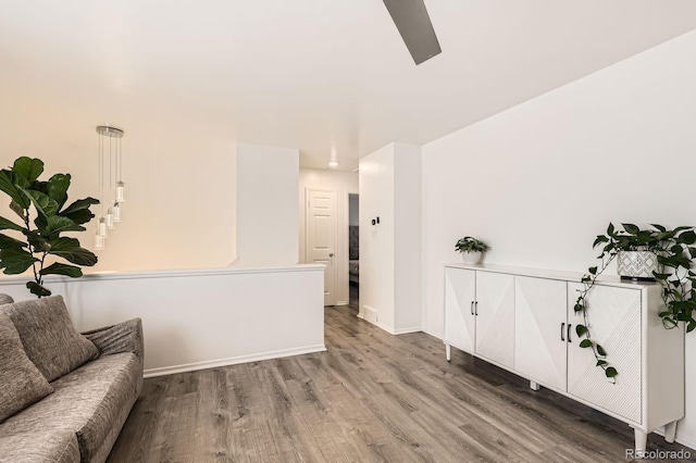 664 Planet Pl, Thornton, CO 80260 - photo 5