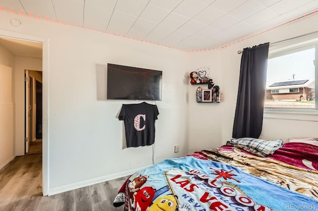 664 Planet Pl, Thornton, CO 80260 - photo 17