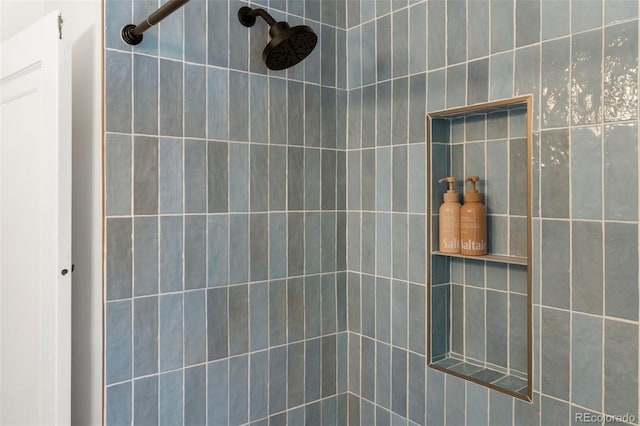 1265 S Elizabeth St, Denver, CO 80210 - bathroom view of tiled shower