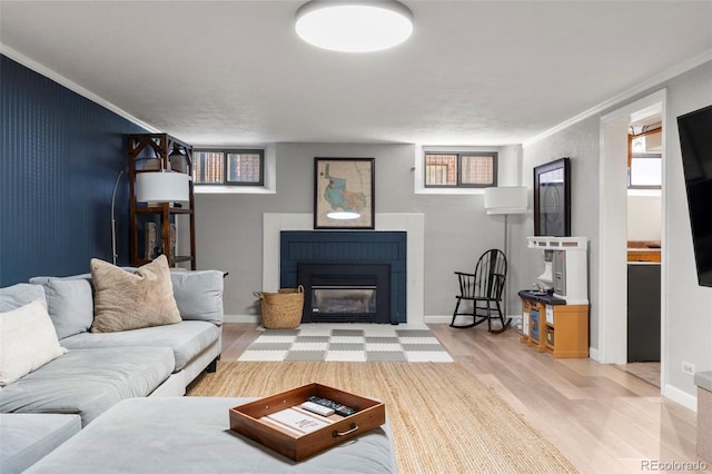 1265 S Elizabeth St, Denver, CO 80210 - living area featuring wood finished floors, a fireplace, plenty of natural light, and ornamental molding