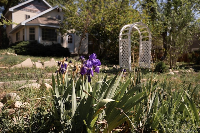 319 W Arkansas St, Buena Vista, CO 81211 - view of yard