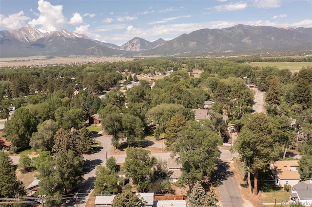 319 W Arkansas St, Buena Vista, CO 81211 - mountain view