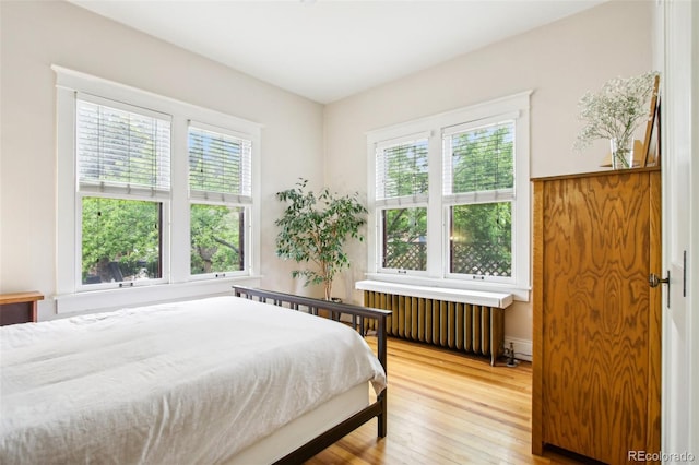 bedroom featuring radiator, light wood finished floors, and multiple windows