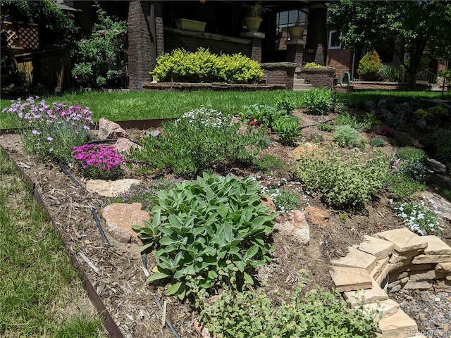 4253 Hooker St, Denver, CO 80211 - view of yard