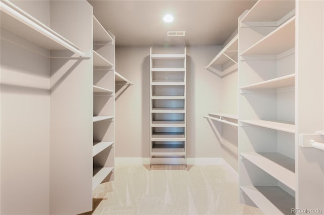 spacious closet with carpet