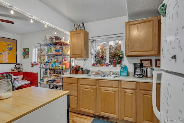 kitchen featuring sink, light hardwood / wood-style flooring, white refrigerator, a textured ceiling, and wood counters