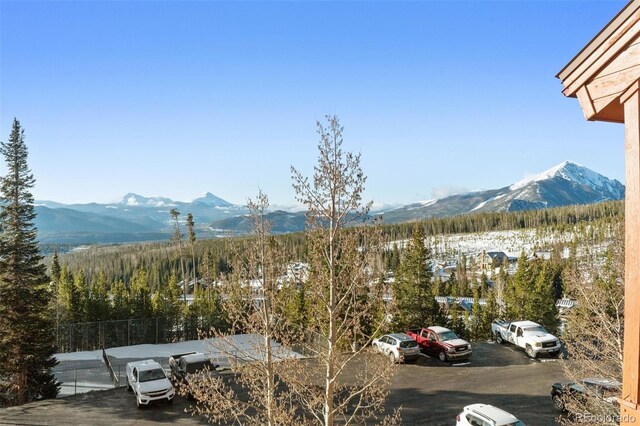 91400 Ryan Gulch Rd Unit 91425, Silverthorne, CO 80498 - photo 4