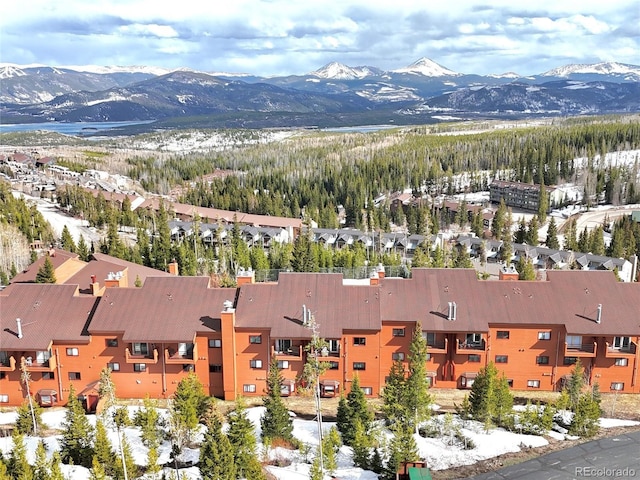 91400 Ryan Gulch Rd Unit 91425, Silverthorne, CO 80498 - photo 28
