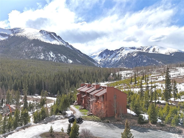 91400 Ryan Gulch Rd Unit 91425, Silverthorne, CO 80498 - photo 29