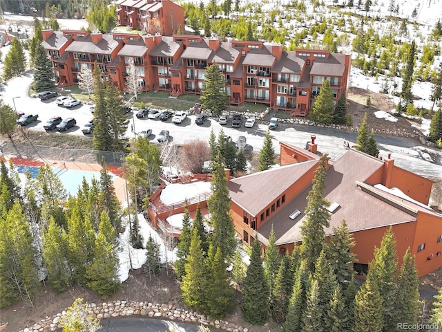 91400 Ryan Gulch Rd Unit 91425, Silverthorne, CO 80498 - photo 40
