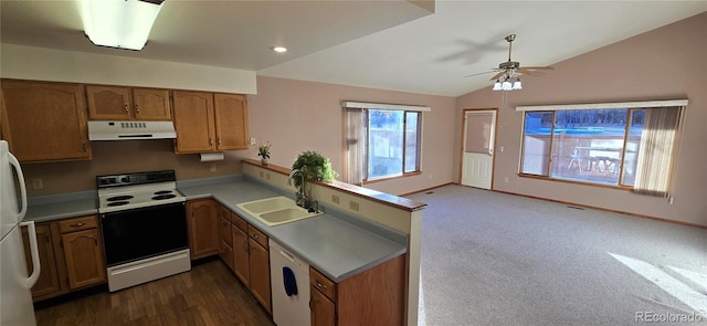 kitchen with dark carpet, white appliances, ceiling fan, sink, and lofted ceiling