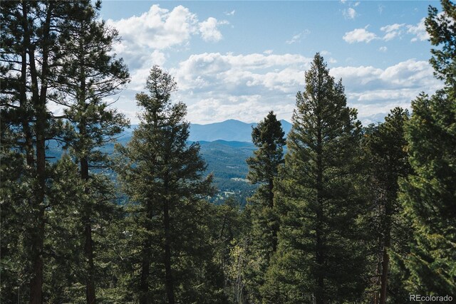 0 Tallberg Ln, Conifer, CO 80433 - photo 15