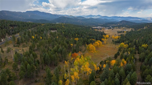0 Tallberg Ln, Conifer, CO 80433 - photo 14