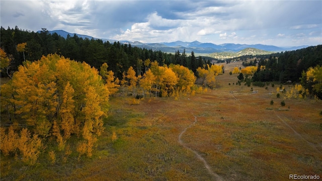 0 Tallberg Ln, Conifer, CO 80433 - photo 24