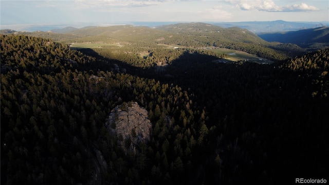 0 Tallberg Ln, Conifer, CO 80433 - photo 2