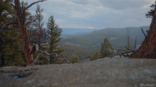 0 Tallberg Ln, Conifer, CO 80433 - photo 5