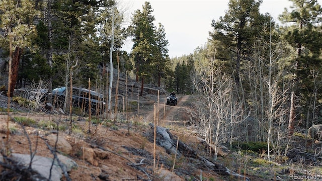 0 Tallberg Ln, Conifer, CO 80433 - photo 12