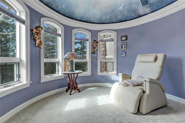 living area with ornamental molding, carpet, and baseboards