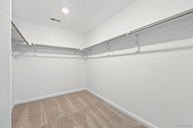 spacious closet featuring visible vents and carpet flooring