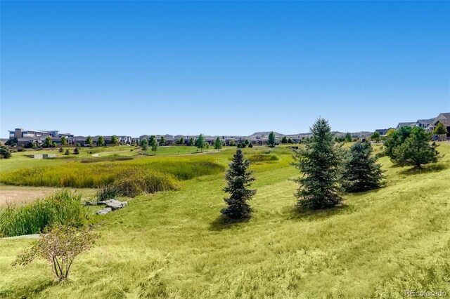 3578 Tranquility Trl, Castle Rock, CO 80109 - photo 39