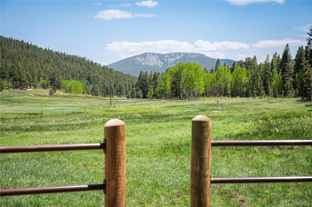 mountain view with a rural view and a view of trees