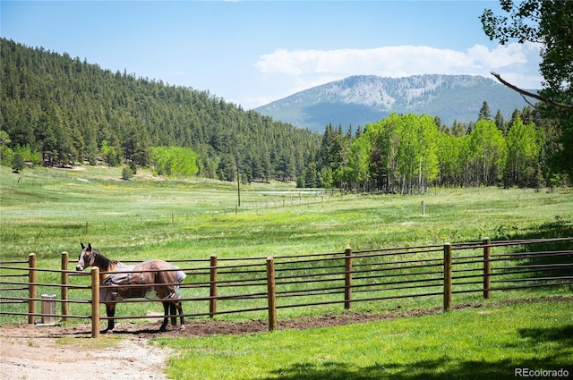 view of mountain feature with a rural view and a wooded view