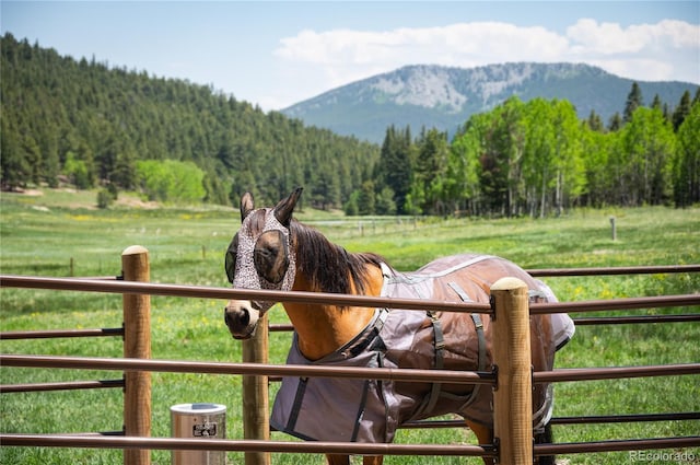 view of horse barn with a mountain view and a forest view