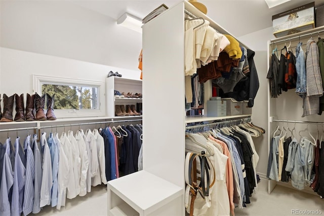 spacious closet featuring carpet flooring