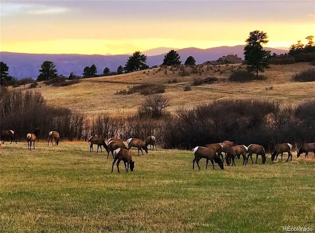 view of home's community featuring a yard and a rural view