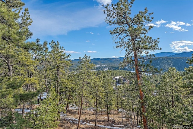 view of mountain feature featuring a forest view