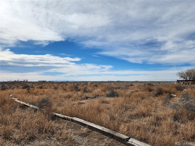 view of local wilderness