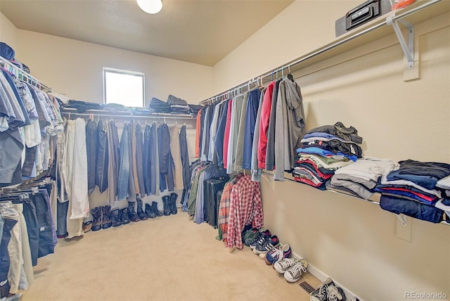 walk in closet featuring carpet flooring