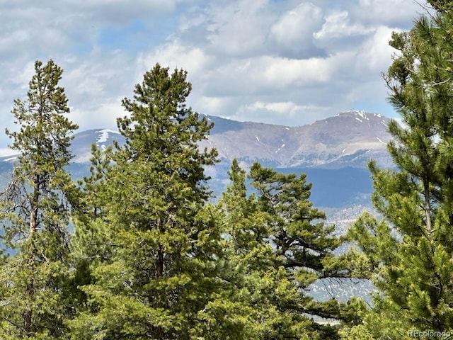 30385 National Forest Dr, Buena Vista, CO 81211