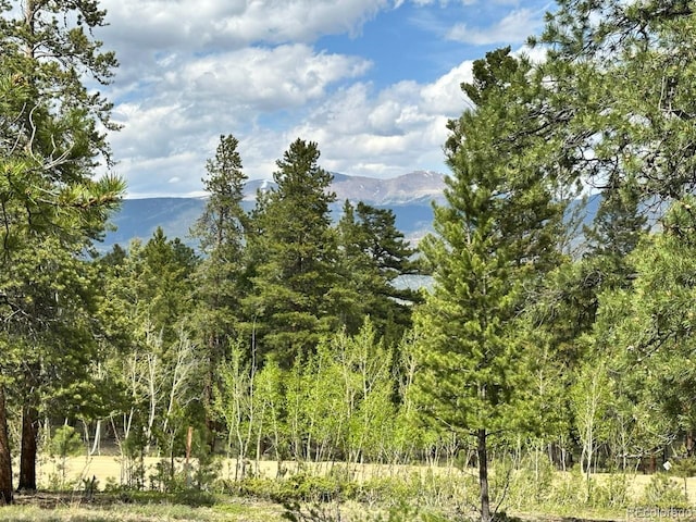 30385 National Forest Dr, Buena Vista, CO 81211
