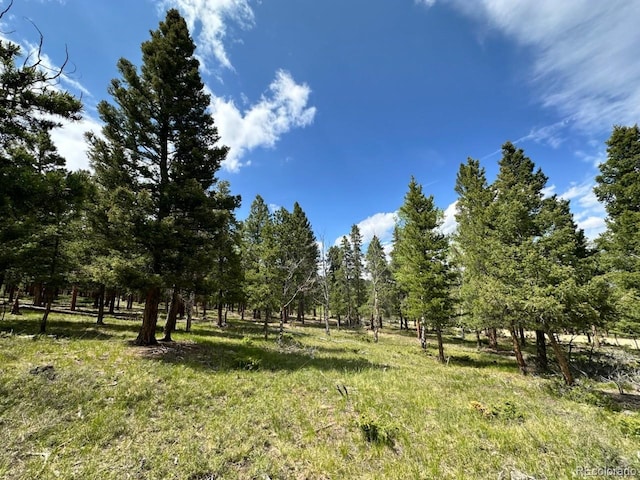 30385 National Forest Dr, Buena Vista, CO 81211