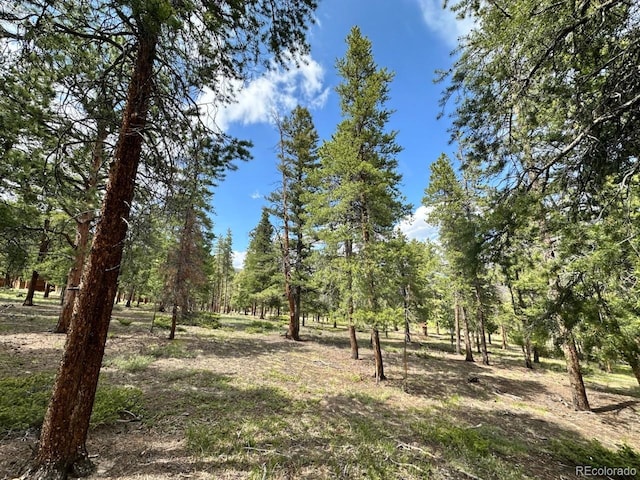 30385 National Forest Dr, Buena Vista, CO 81211