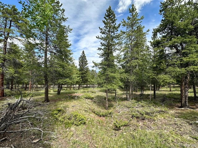 30385 National Forest Dr, Buena Vista, CO 81211