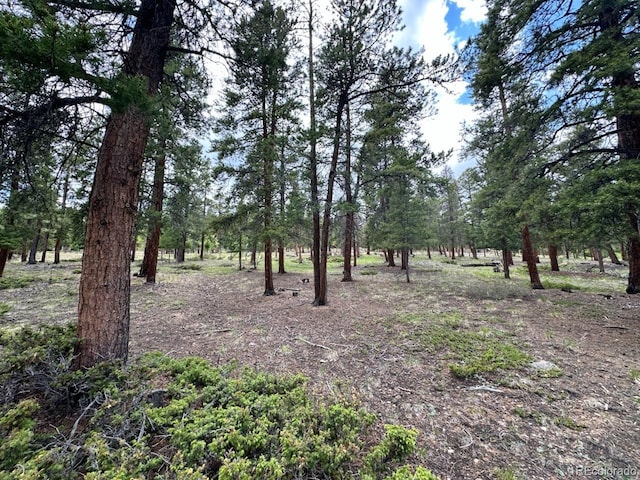 30385 National Forest Dr, Buena Vista, CO 81211