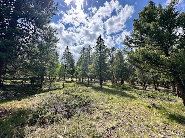 30385 National Forest Dr, Buena Vista, CO 81211