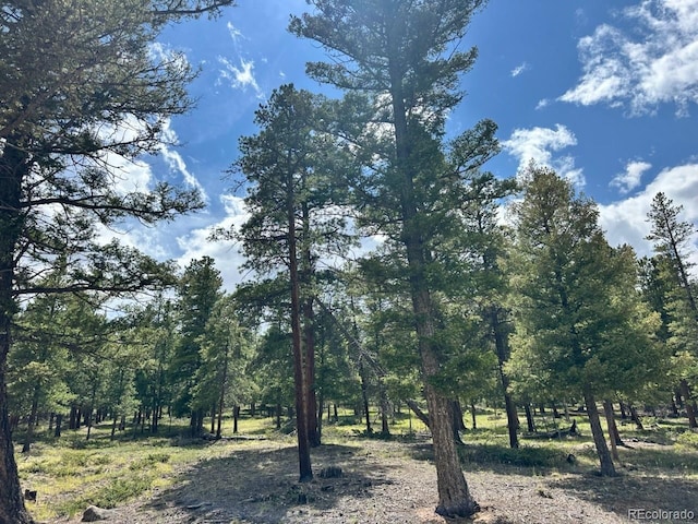 30385 National Forest Dr, Buena Vista, CO 81211