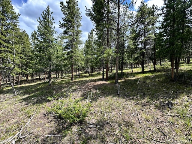 30385 National Forest Dr, Buena Vista, CO 81211