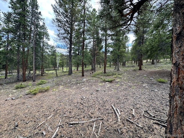 30385 National Forest Dr, Buena Vista, CO 81211