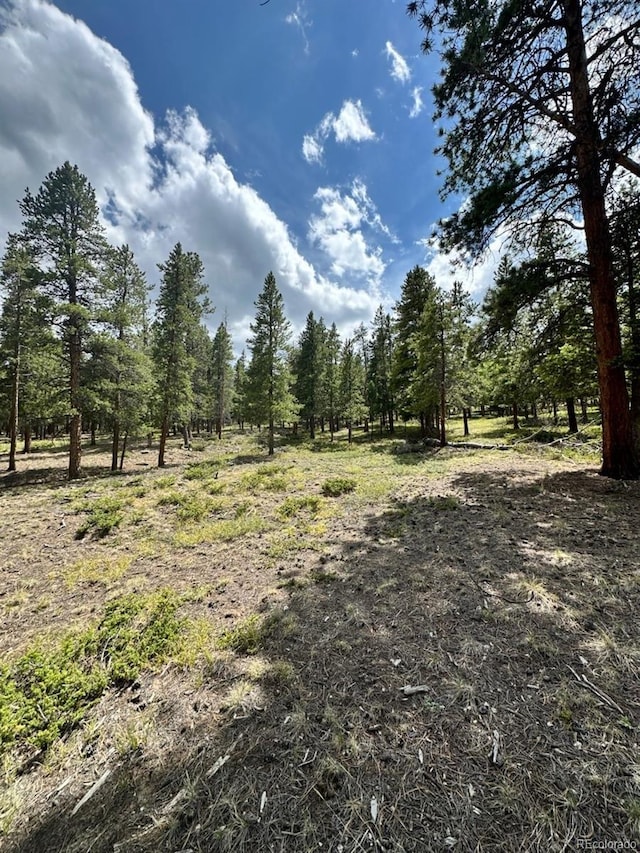 30385 National Forest Dr, Buena Vista, CO 81211
